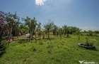 RACARI - DAMBOVITA, CASA PE PARTER 85 MP, LOT 2200 MP! - 4