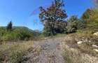 Teren intravilan Buru | ideal agrement, activita?i outdoor - 5