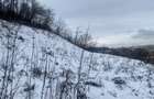 Teren Construcții de 1000 mp, în Grigorescu - 2