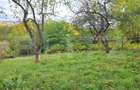 Casă cu 4 camere cu Teren 900 Mp în Central - 24