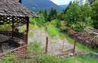 Tirul cu porumbei, Sinaia - 2