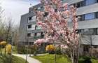 Apartament cu 2 camere decomandat în Străulești - 15