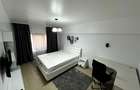 Apartament mobilat 1 camera - Alexandru cel Bun - Piata Voievozilor - 5