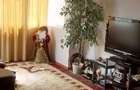 Apartament 2 camere zona linistita - 3