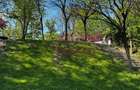 Apartament 3 camere, la parc IOR - 15