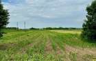 Vand teren agricol 3.700 mp, Gavojdia, acces rapid la E70 - 6