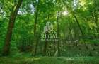 PRET NOU! Teren (padure) intabulat – 11.011 mp în zona Hașdat–Chizid - 1