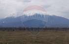 Teren 10,000mp Rasnov / Drumul Panicel - 4