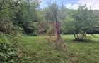 Teren de vanzare 15.000 mp in Telega - 2