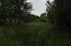 Vand teren Intravilan Loc . Turia