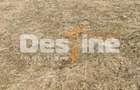 Teren 5000 mp, ideal cabana, pensiune, in zona de interes... - 6