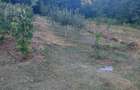 Vand teren extravilan in suprafata de 5976 mp situat in loc. Popesti, sat Curtea, jud. Valcea