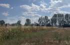 Teren extravilan, 9000 mp, zona Nusfalau