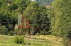Parcele 1000 mp Sohodol