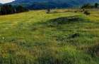 Vand teren intravilan - 2