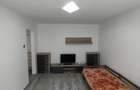 Apartament 1 camera, zona Lipovei - Iulius Mall - 11