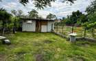 Casa si teren de vanzare 948mp Campia Islaz, Oportunitate de invest - 6