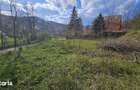 BREBU intravilan 1800 mp, deschidere 29 ml, doar 16.900 - 1
