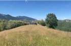 Teren extravilan 46.050 mp, Sat ?irnea, Comuna Fundata! - 2