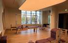 Proprietar - Studio Dublu Cortina North - designer - 18