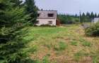 Oferta de vanzare teren si casa in judetul Cluj, comuna Belis, sat Belis - 10