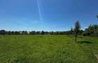 Teren intravilan de vanzare,5450 mp , com. Brebu , jud. Prahova - 1