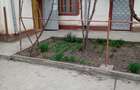 Casă cu Teren 824 Mp în Central - 4