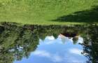 Vand teren superb intravilan in Bistra Muresului, 25.000 EUR - 5