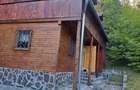 Baile Chirui ,teren 34500 mp , cabana 3 camere curent si apa ,5,5 Euro mp - 1
