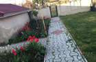 Exclusivitate-Casa 5 camere ?i teren 3196 mp - 6