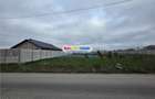 Vanzare lot de teren 1700 mp in apropriere de lac si padurea Cernica - 2