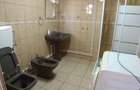 Inchriez apartament la curte - 4