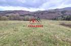 Teren extravilan Valea Doftanei 20.500 mp 6e mp - 14