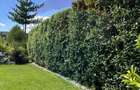 Casa exclusivista care combina perfect luxul ?i func?... - 6