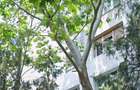 Apartament 3 camere, sector 4, Izvorul Crisului - 2