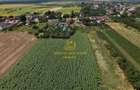 Teren 2.700 mp Ciocănești - Urziceanca | La asfalt - 12