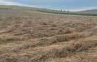 Teren agricol arabil  - 5