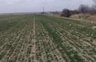 Teren Albota / zona Statiune - Papillon / 10.000 mp / Deschidere 142 m - 5