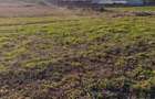 Lot vanzare comuna berceni - 4