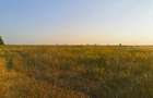 Vand teren agricol, 2ha, comuna Tamna, sat Colaret, MH - 2