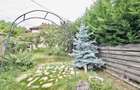 Proprietate cu potential exceptional in Andrei Muresanu - 23