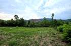 Teren Intravilan, utilitati in zona, 2600 mp, Draganeasa, Prahova - 4