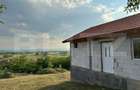 Casa la rosu de vanzare in Chimindia, teren de 1.400 mp, acces 2 drumu - 4