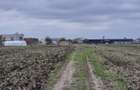 Teren Balotesti-Therme, 18500 euro - 9
