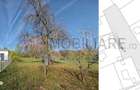 Teren intravilan BREBU MANASTIREI 3163 mp - 9