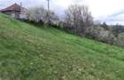 Teren de 1017 mp, în Arpașu de Sus - 5