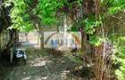 OPORTUNITATE - Popa Nan-Unirii - casa de renovat cu teren 432 mp - 9