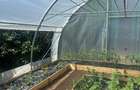 Teren de INCHIRIAT - Ideal pentru agricultura, livada, agrement sau camping! - 11