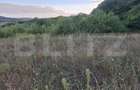 Teren extravilan, 5.100 mp, zona Livezeni