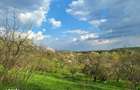 Mosia boiereasca din varf de deal, Scorteni - Prahova! - 1